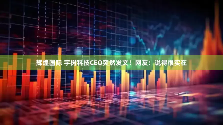 辉煌国际 宇树科技CEO突然发文！网友：说得很实在