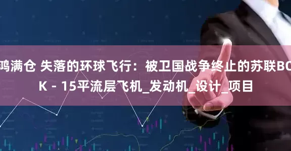 鸿满仓 失落的环球飞行：被卫国战争终止的苏联BOK - 15平流层飞机_发动机_设计_项目