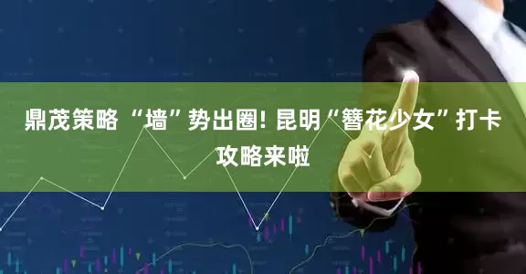 鼎茂策略 “墙”势出圈! 昆明“簪花少女”打卡攻略来啦